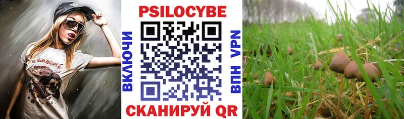 Галлюциногенные грибы Cubensis Купить где Апшеронск